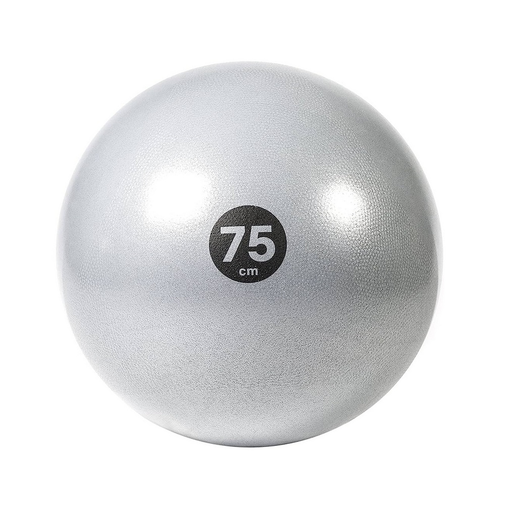 Reebok RAB-40017GR 75cm Gym Ball (Grey)