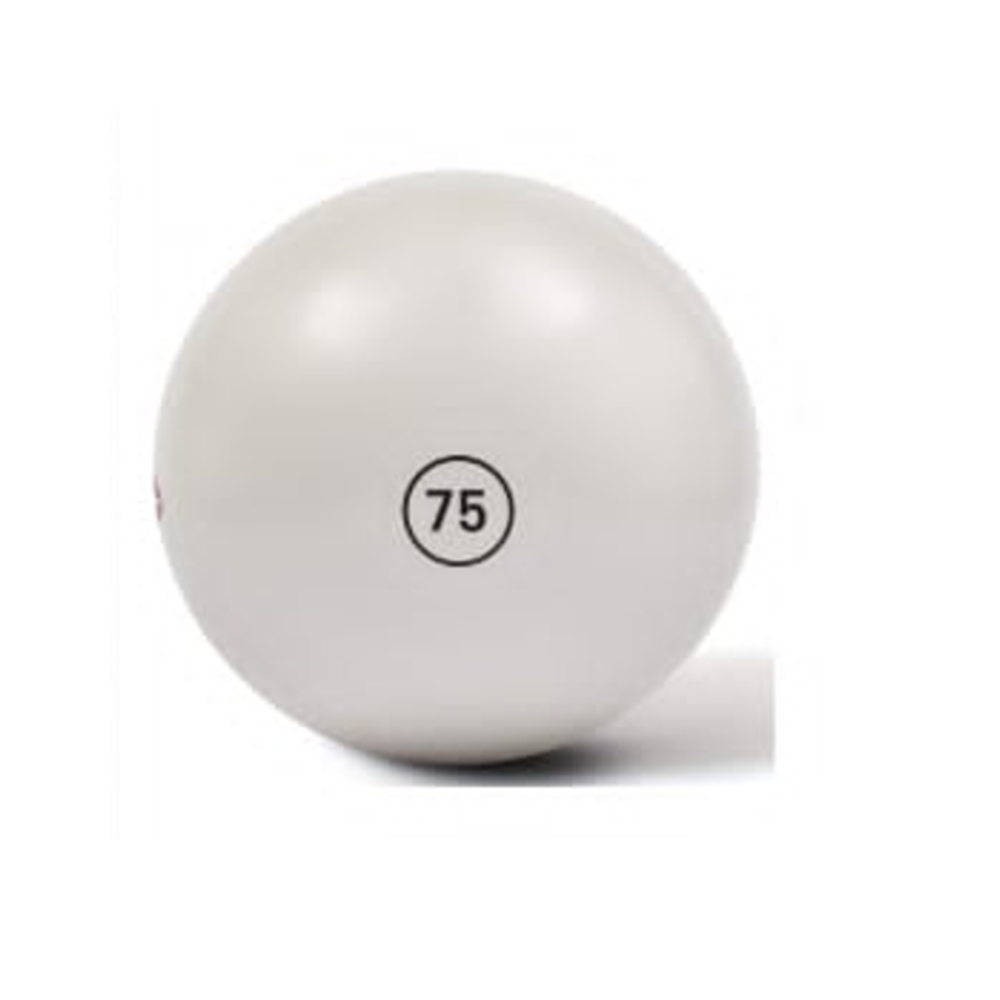 Reebok RSB-16017 Gym Ball (75CM)