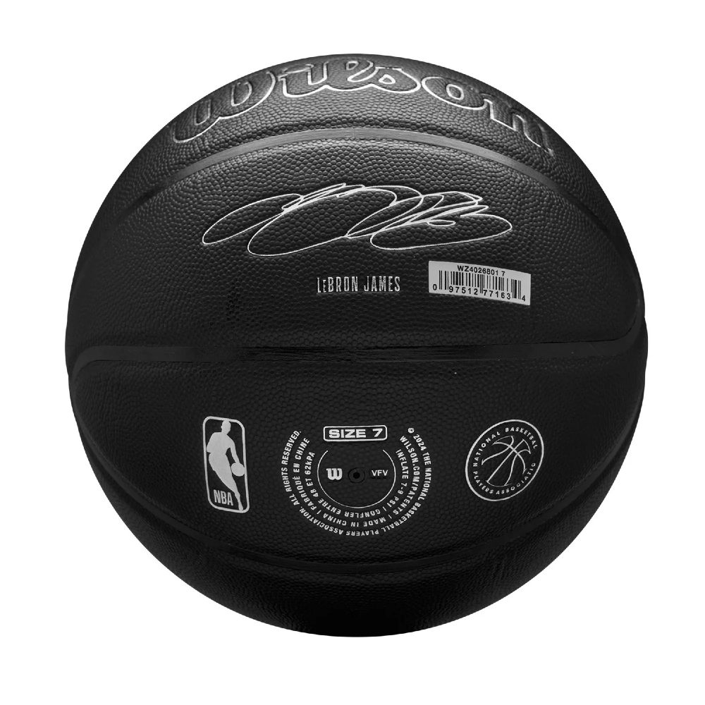 Wilson NBA Player Nightmode LeBron Basketball – Size 7 (WZ4026801XB7)