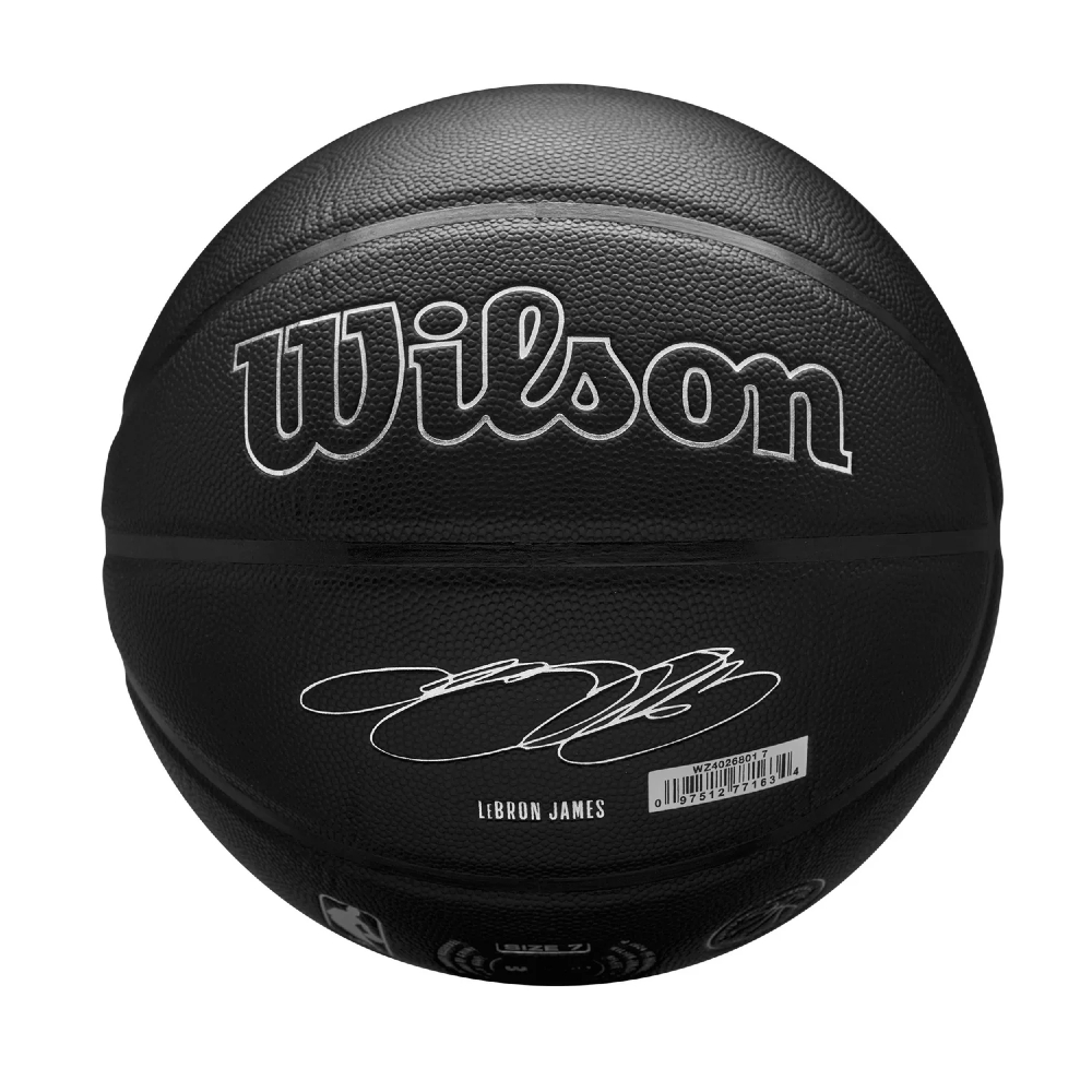 Wilson NBA Player Nightmode LeBron Basketball – Size 7 (WZ4026801XB7)